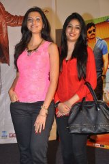 Bhai Triple Platinum Disc Function